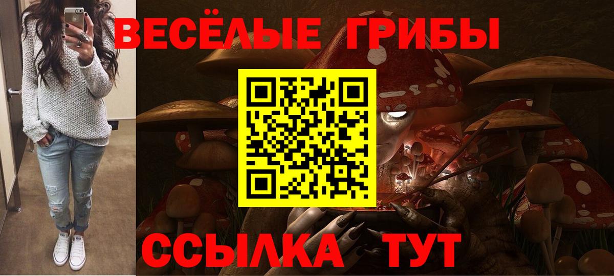 Псилоцибиновые грибы Cubensis Вятские Поляны